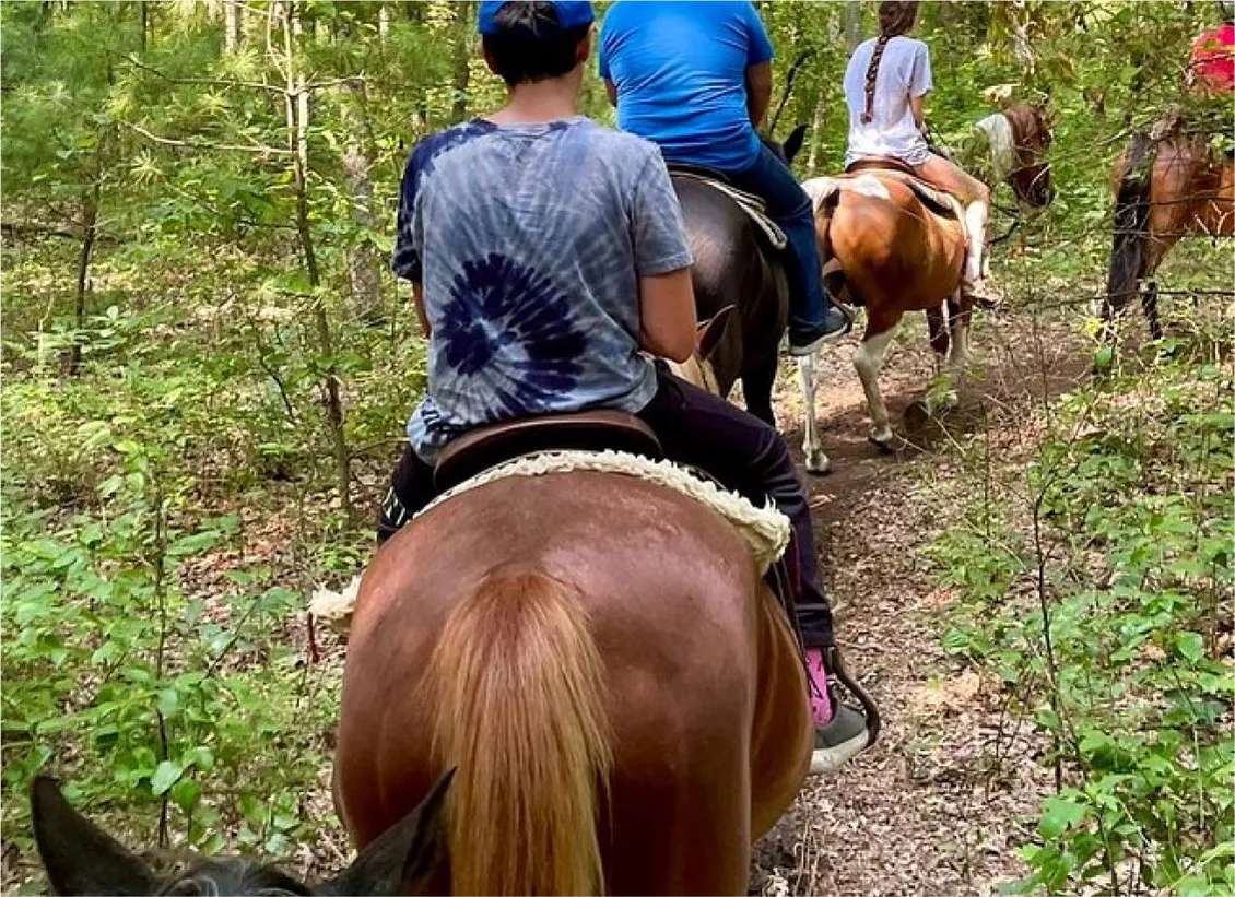 Horseback Riding (8mi)